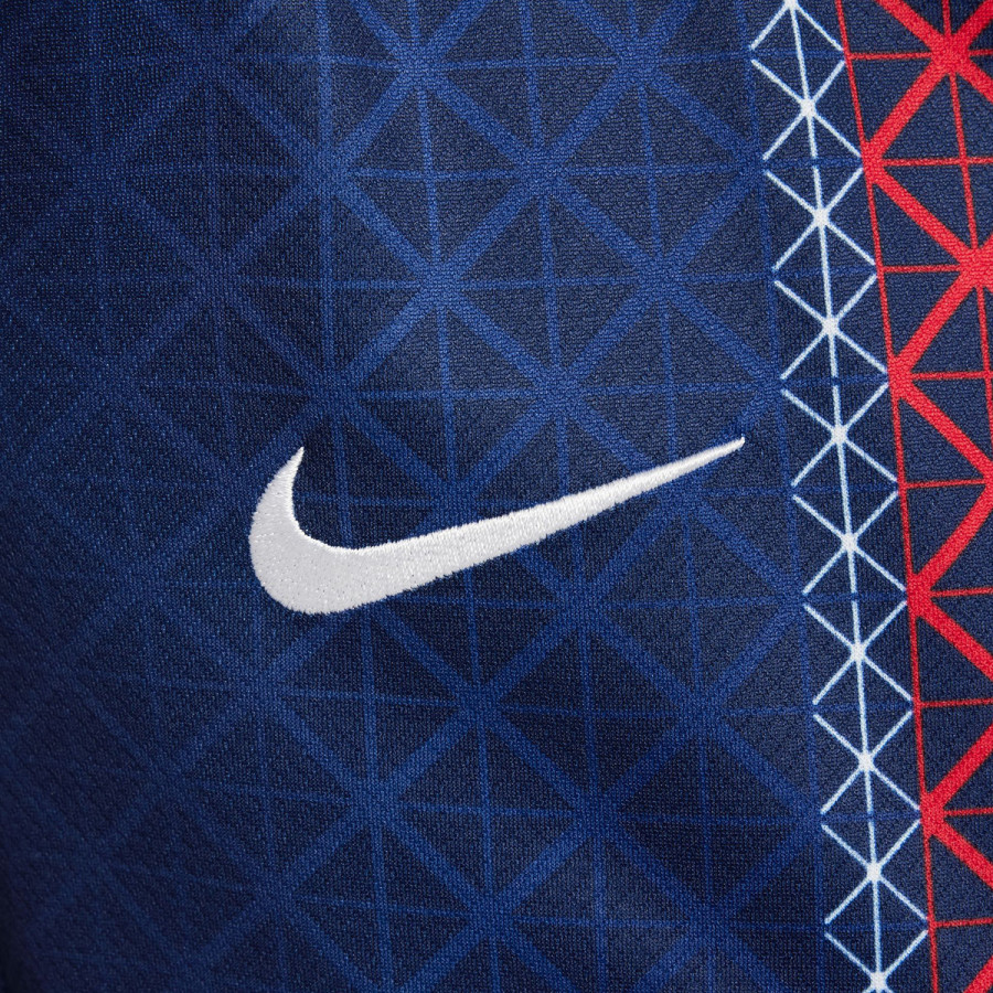 NIKE DRES Paris Saint-Germain 