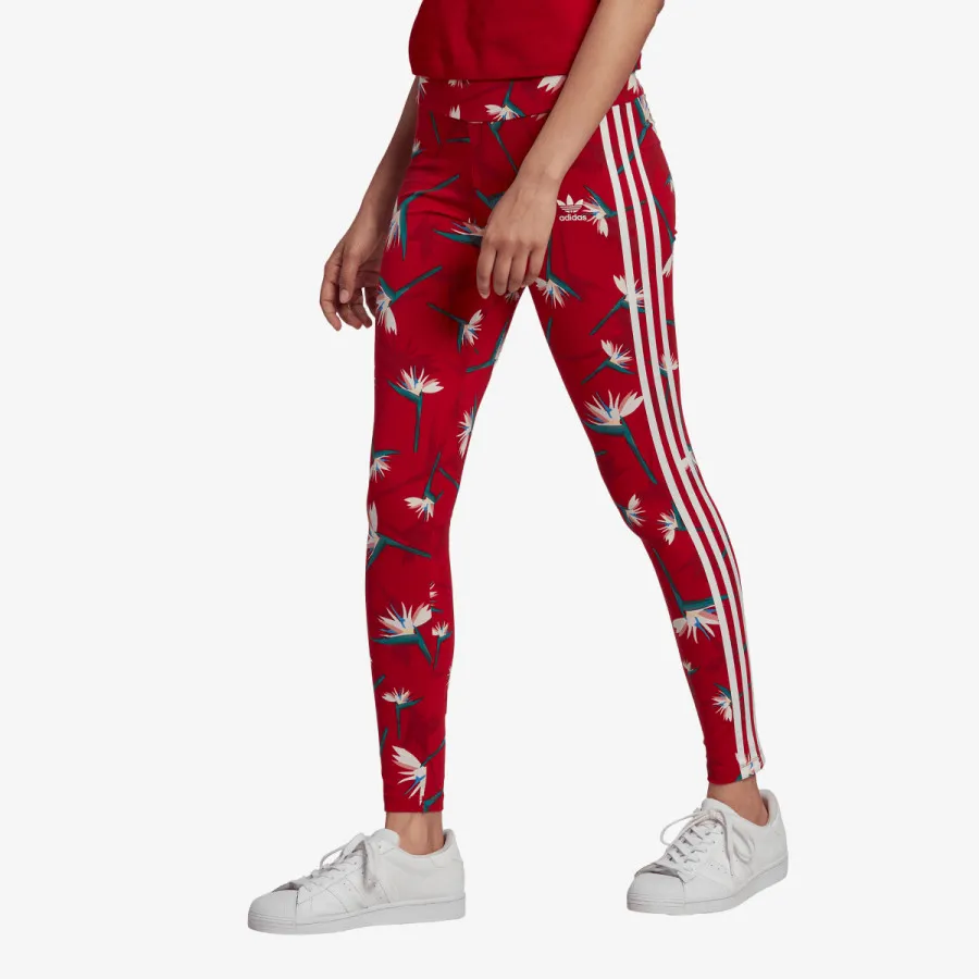 ADIDAS Pajkice Thebe Magugu x 