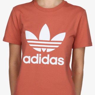 adidas KRATKA MAJICA Adicolor 