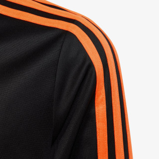 adidas KAPUCAR TIRO23 CBTRTOPY 