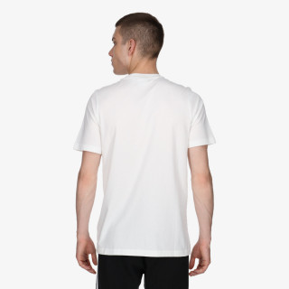 ADIDAS Majice kratke TREFOIL T-SHIRT 