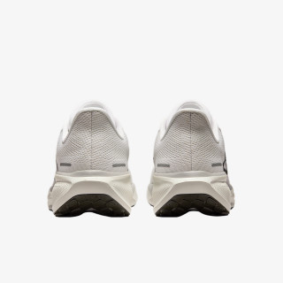 NIKE Superge Air Zoom Pegasus 41 