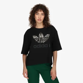ADIDAS Majice kratke T-SHIRT GRAPHIC 