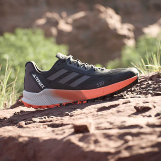 adidas Superge TERREX AGRAVIC FLOW 2 