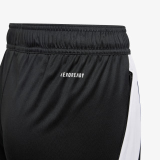 adidas KRATKE HLAČE TIRO24 TRSHOY 