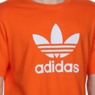 adidas KRATKA MAJICA TREFOIL T-SHIRT 