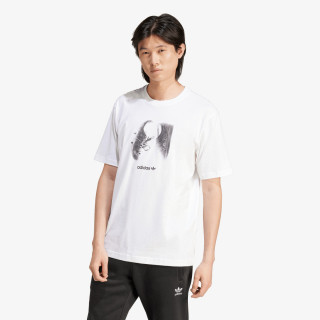 adidas KRATKA MAJICA Training Supply 