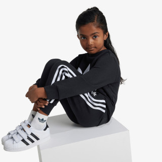 adidas TRENIRKA Trefoil Crew 