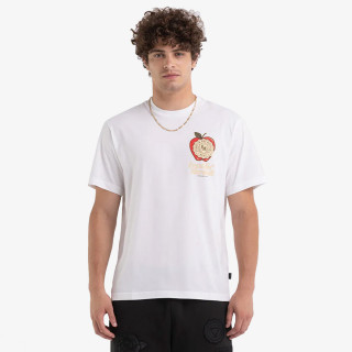 FRANKLIN & MARSHALL KRATKA MAJICA T-SHIRT 