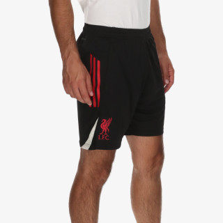 adidas KRATKE HLAČE LFC TR SHO 
