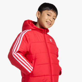 adidas JAKNA Adicolor 