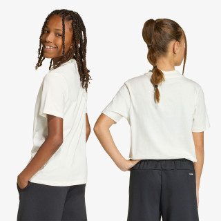 adidas KRATKA MAJICA J STD GFX TEE 