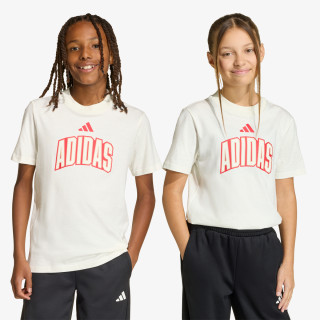 adidas KRATKA MAJICA J STD GFX TEE 