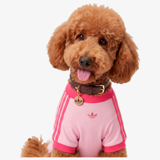 adidas PET ogrlica PET COLLAR 