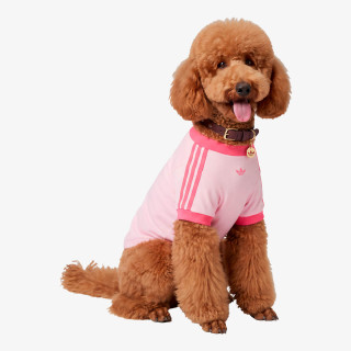 adidas PET ogrlica PET COLLAR 