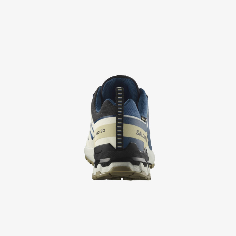 SALOMON Superge XA PRO 3D V9 GTX Bl/I 