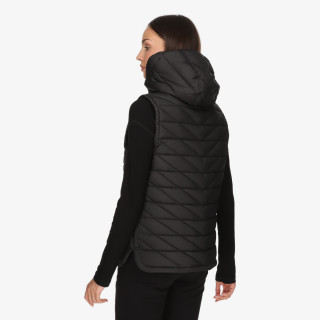 MONT BREZROKAVNIK Palm 