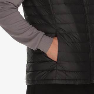 MONT BREZROKAVNIK Palm 