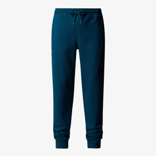 THE NORTH FACE HLAČE M NSE PANT 