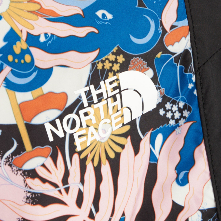 THE NORTH FACE SPODNJI DELI W P HYDRNLNE PNT TNFBINTLWCLNPRT 