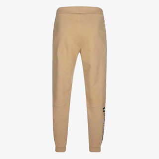 THE NORTH FACE SPODNJI DELI TRENIRKE Men’s Coordinates Pant - Eu 