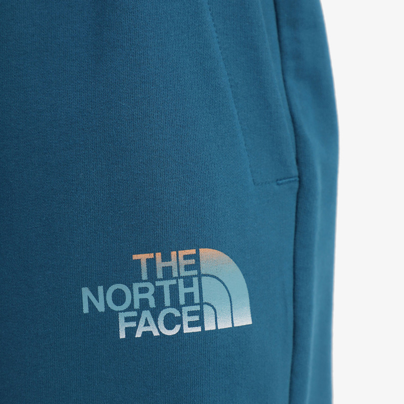 THE NORTH FACE KRATKE HLAČE Men’s D2 Graphic Short - Eu 