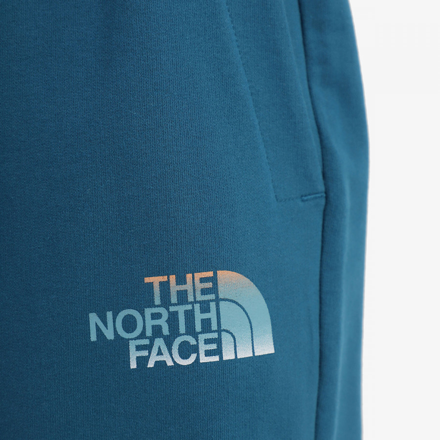 THE NORTH FACE KRATKE HLAČE Men’s D2 Graphic Short - Eu 