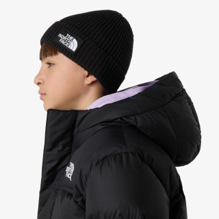 THE NORTH FACE KAPE KIDS TNF LOGO BOX CUFFED BEANIE 