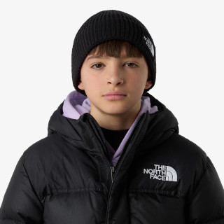 THE NORTH FACE KAPE KIDS TNF LOGO BOX CUFFED BEANIE 