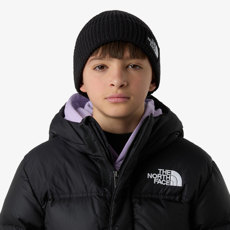 THE NORTH FACE KAPE KIDS TNF LOGO BOX CUFFED BEANIE 
