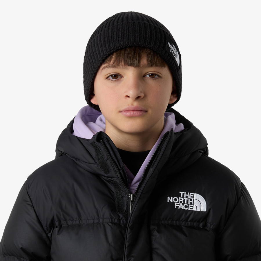 THE NORTH FACE KAPE KIDS TNF LOGO BOX CUFFED BEANIE 