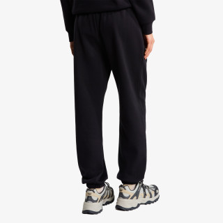 THE NORTH FACE HLAČE W EVOLUTION SIMPLE DOME REGULAR PANT 