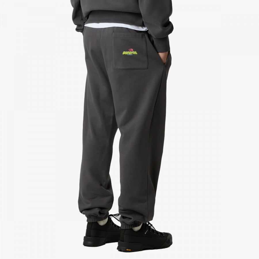 THE NORTH FACE SPODNJI DELI TRENIRKE U EXPEDITION CELEBRATION RELAXED JOGGER- 