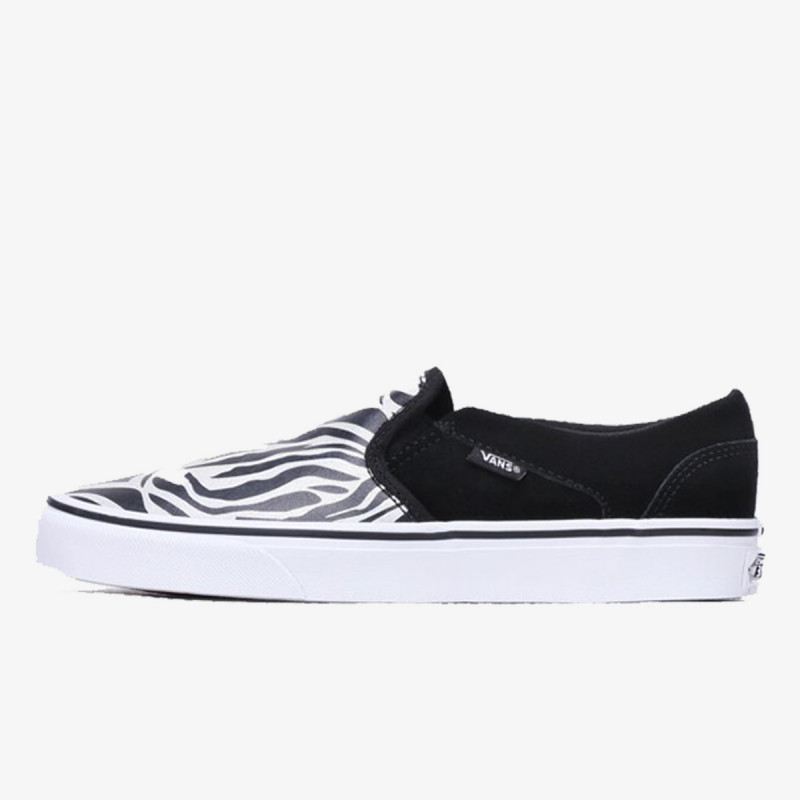VANS Superge Asher