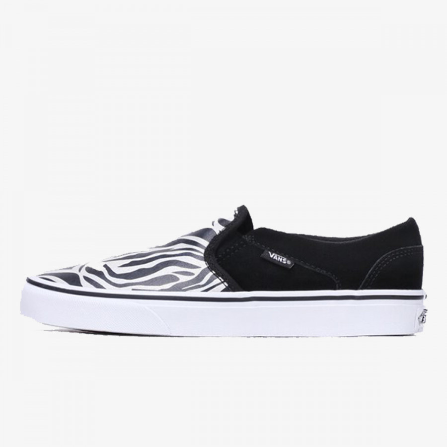 VANS Superge Asher